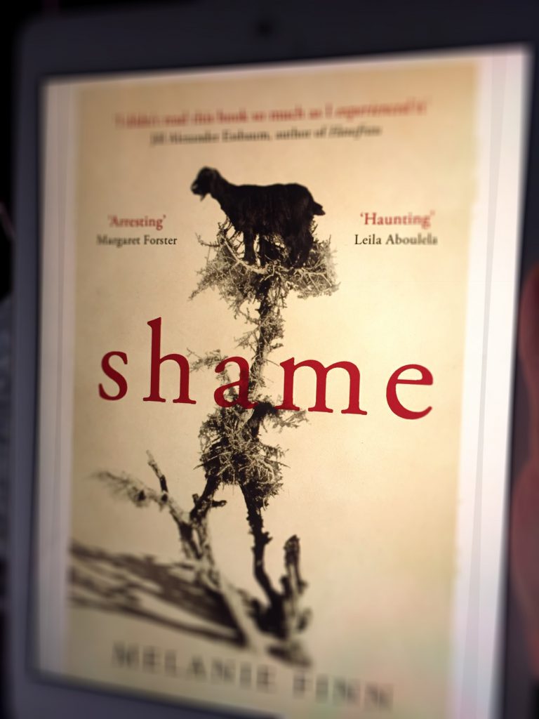 shame-melanie-finn-kindle