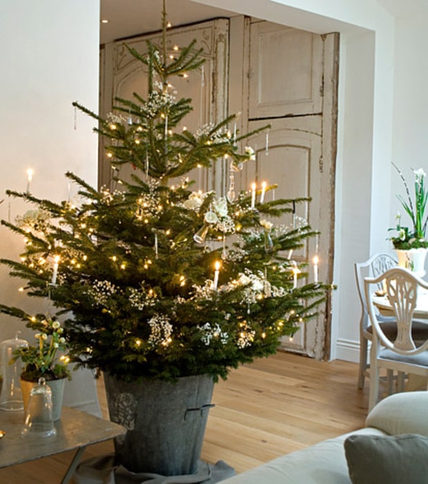 christmas tree, pot, metallic, simple, rustic, christmas