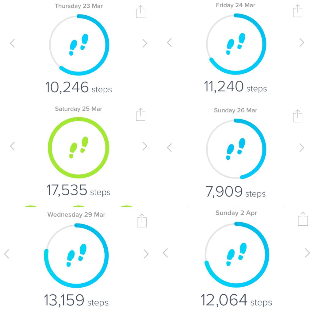 fitbit steps - caffeineberry