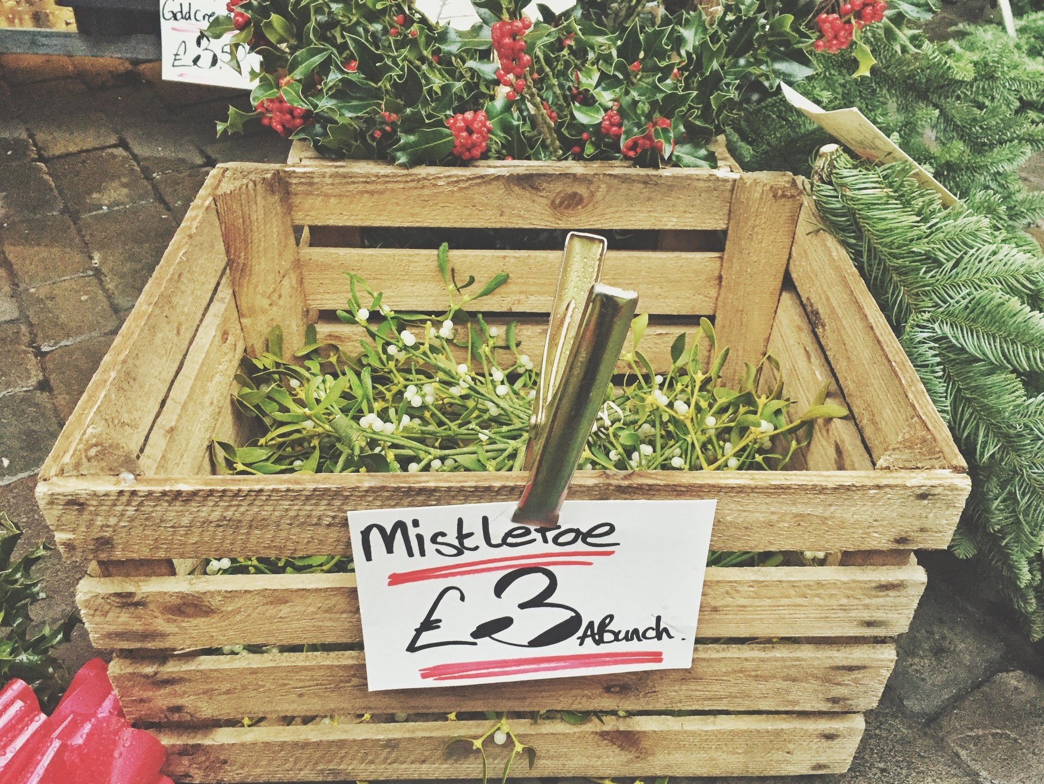 Winchester_Christmas_Market_Mistletoe