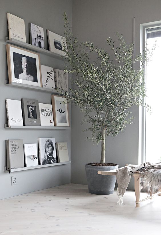 Beautiful olive tree and elegant frames on wall