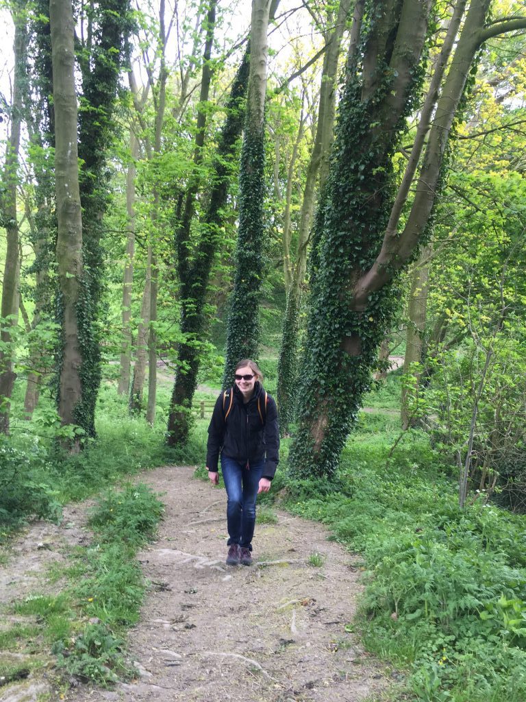 walking in yorkshire - hiking Bishop Wilton Trail